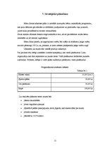 Biznesa plāns 'Biznesa plāns', 12.