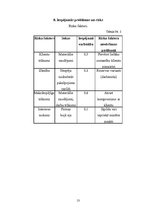 Biznesa plāns 'Biznesa plāns', 13.