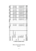 Biznesa plāns 'Biznesa plāns', 15.