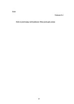 Biznesa plāns 'Biznesa plāns', 19.