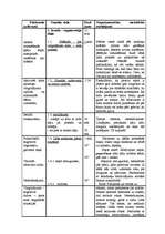 Konspekts 'Sporta stundas konspekts 2.klases skolēniem ar mācīšanās traucējumiem', 2.