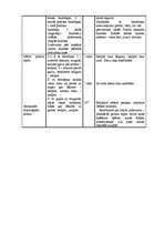 Konspekts 'Sporta stundas konspekts 2.klases skolēniem ar mācīšanās traucējumiem', 6.