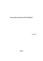 Biznesa plāns 'Biznesa plāns uzņēmumam SIA "FunkyDog"', 1.