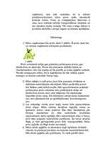 Biznesa plāns 'Biznesa plāns uzņēmumam SIA "FunkyDog"', 4.