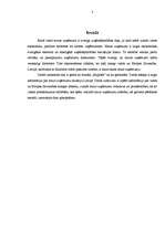 Referāts 'Mazo uzņēmumu loma tautsaimniecībā', 3.