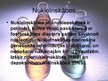 Prezentācija 'Nukleīnskābju loma ģenētiskās informācijas pārnešanā', 2.