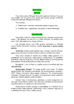 Konspekts 'Tiesu iekārtas vēsture', 1.