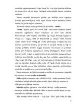 Referāts 'Pilsētu un tirdzniecības tiesības viduslaiku Eiropā', 11.