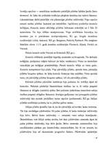 Referāts 'Pilsētu un tirdzniecības tiesības viduslaiku Eiropā', 16.