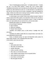 Referāts 'Bērncentrētais mācību modelis', 5.