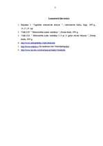 Referāts 'Bērncentrētais mācību modelis', 7.