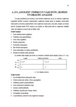 Referāts 'Tirgus izpēte z/s "Ozoliņi" mājas vīnam "Dzidris"', 20.