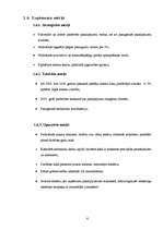 Biznesa plāns 'Biznesa plāns', 6.