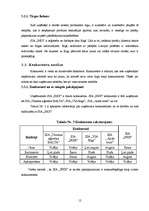 Biznesa plāns 'Biznesa plāns', 12.