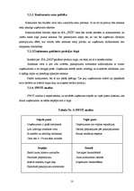 Biznesa plāns 'Biznesa plāns', 13.