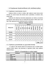 Biznesa plāns 'Biznesa plāns', 15.