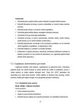 Biznesa plāns 'Biznesa plāns', 19.