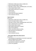 Biznesa plāns 'Biznesa plāns', 20.