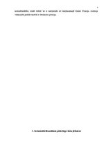 Referāts 'Starptautiskie krimināltribunāli', 6.