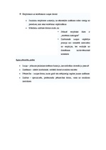 Konspekts 'Izziņas filosofiskā izpratne', 2.