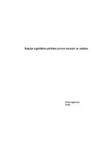 Eseja 'Biznesa plāns komercdarbībā', 1.