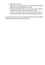 Eseja 'Biznesa plāns komercdarbībā', 7.