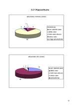 Referāts 'J.Čakstes Liepājas pilsētas 10.vidusskolas skolēnu svara atbilstība vispārpieņem', 30.