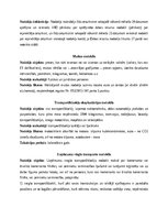 Konspekts 'Nodokļi Latvijā', 7.