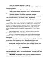 Referāts 'Starptautiskā valūtas sistēma', 16.