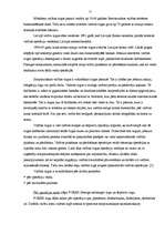 Referāts 'Starptautiskā valūtas sistēma', 21.