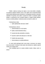 Referāts 'Uzņēmējdarbības vides analīze Gulbenē', 3.