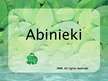 Prezentācija 'Abinieki', 1.