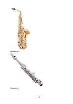 Referāts 'Talsu pilsētas pūtēju orķestra attīstība un darbība', 40.