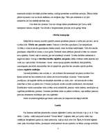 Referāts 'Daoisms', 3.