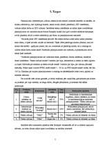 Biznesa plāns 'SIA "MiT"', 7.