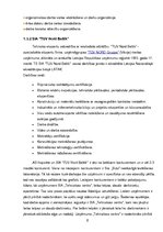 Referāts 'Uzņēmuma SIA "Tehniskais centrs" mārketinga plāns', 6.