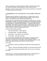 Konspekts 'Pedagoģijas vēsture', 17.