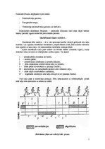 Konspekts 'Skriešanas biomehānika', 2.