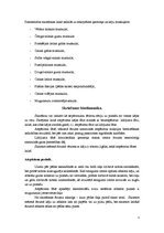 Konspekts 'Skriešanas biomehānika', 3.