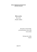 Biznesa plāns 'Biznesa plāns', 1.