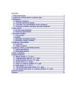 Biznesa plāns 'Biznesa plāns', 2.