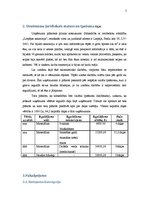 Biznesa plāns 'Biznesa plāns', 5.