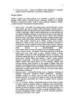 Biznesa plāns 'Biznesa plāns', 7.