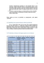 Biznesa plāns 'Biznesa plāns', 9.