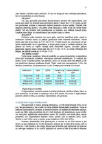 Biznesa plāns 'Biznesa plāns', 11.