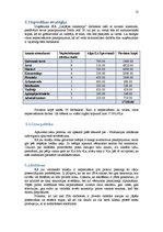 Biznesa plāns 'Biznesa plāns', 13.