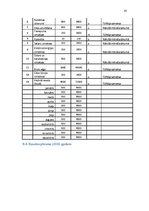 Biznesa plāns 'Biznesa plāns', 20.