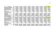 Biznesa plāns 'Biznesa plāns', 22.