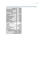 Biznesa plāns 'Biznesa plāns', 26.