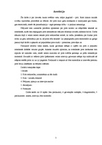 Referāts 'Latviešu tautas pirts nozīme senatnē un mūsdienās', 3.